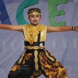 75a77088473fdb01ea53e29933530a38