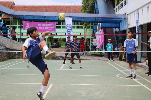 NPDSPC2486
