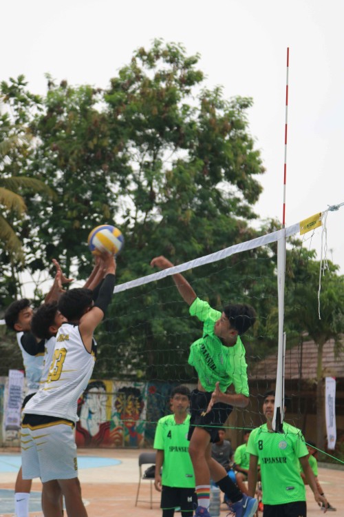 NPDSPC2384
