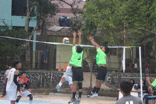 NPDSPC2346